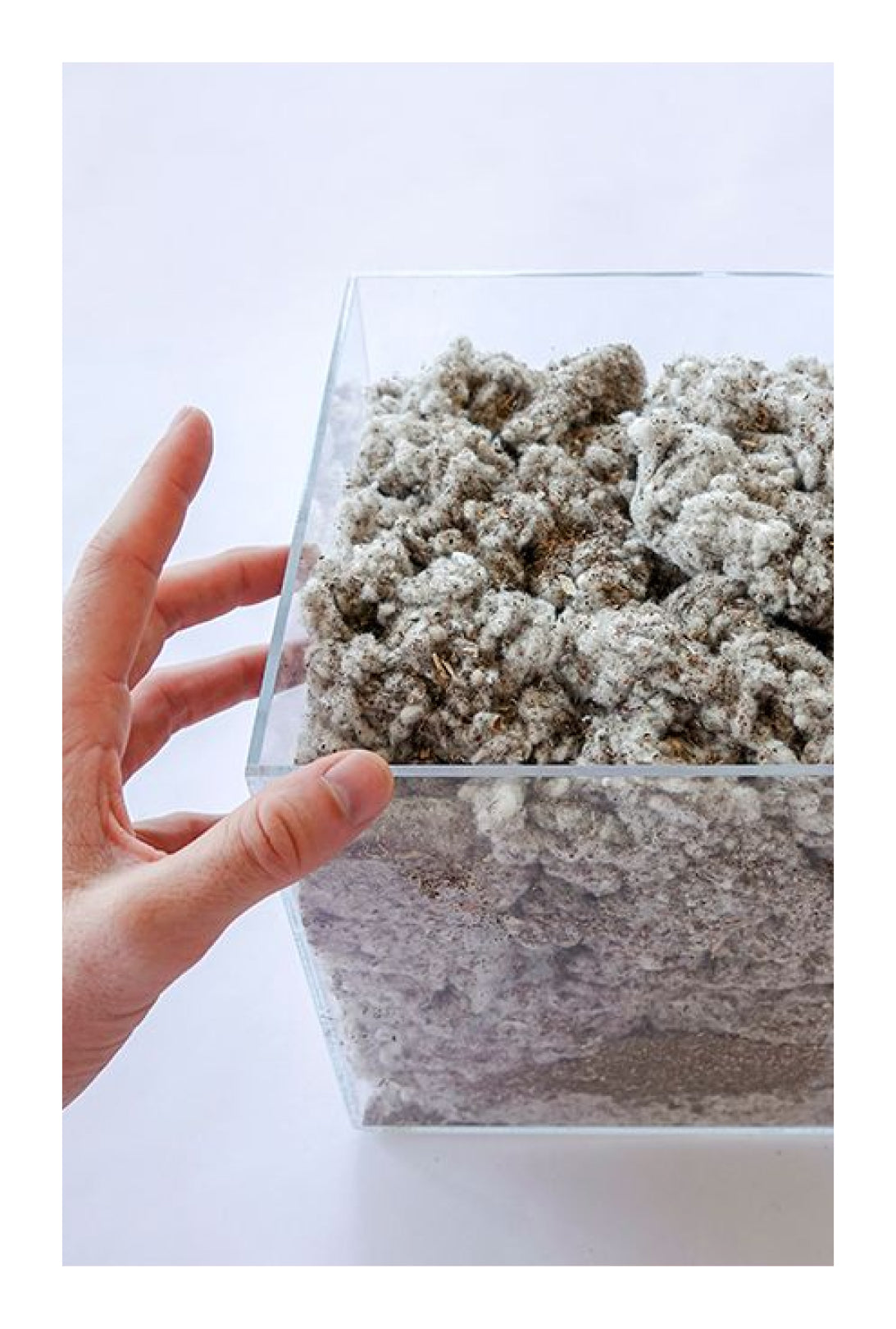 Hand holding a clear cube container filled with a grayish reclaimed waste cotton material.