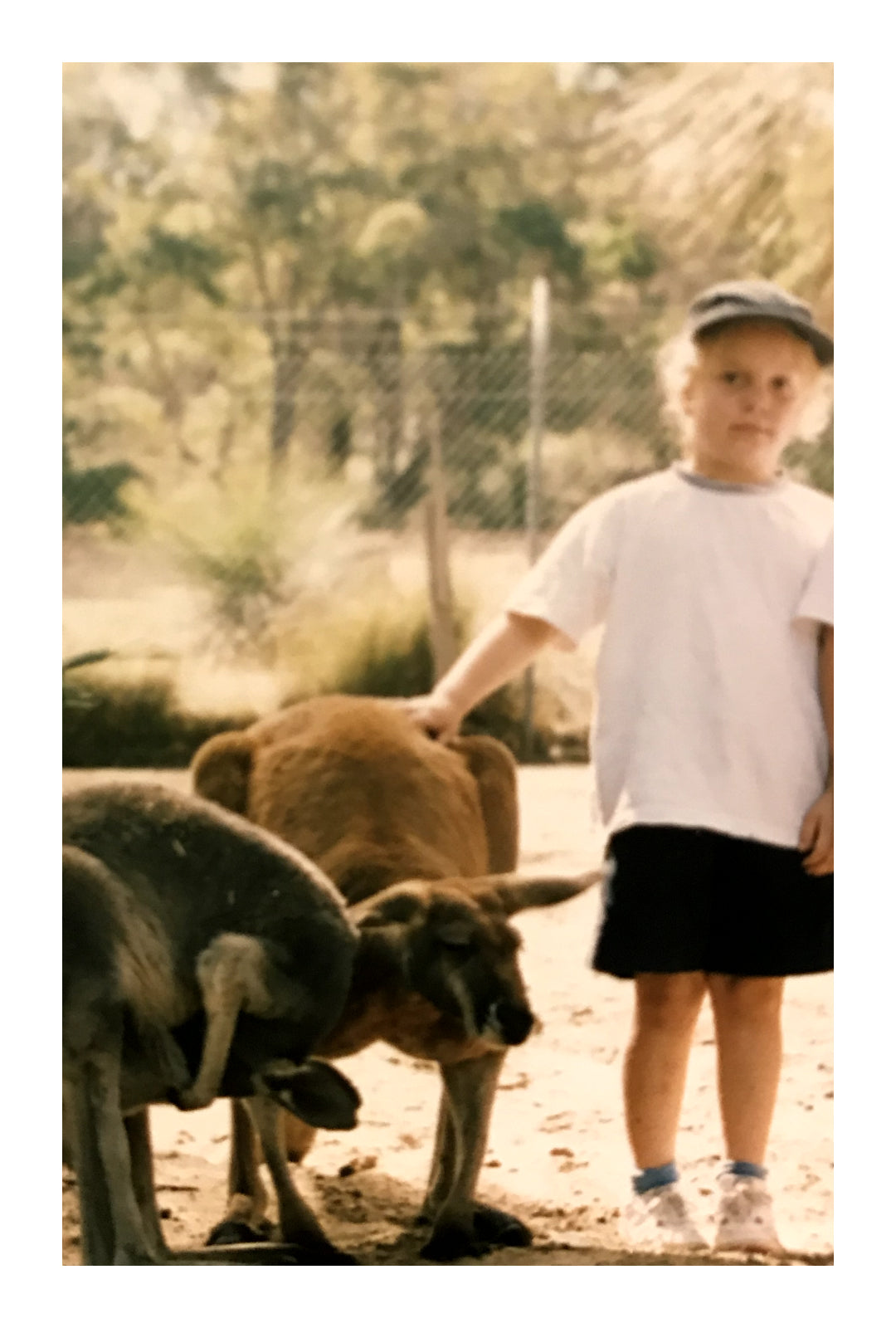 Ariel Katz in childhood, wearing shorts and a tee, petting a kangaroo.