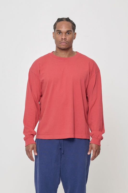 A 6' person in a Cedar Long Sleeve Boxier Trash Tee in size L. Hem hits the middle of the hip.