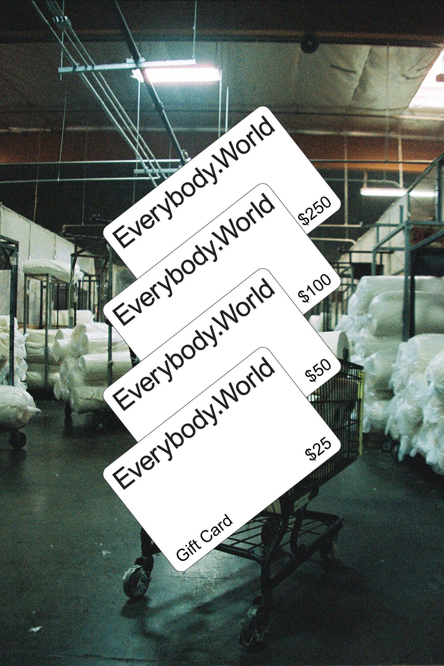 Everybody.World Digital Gift Card