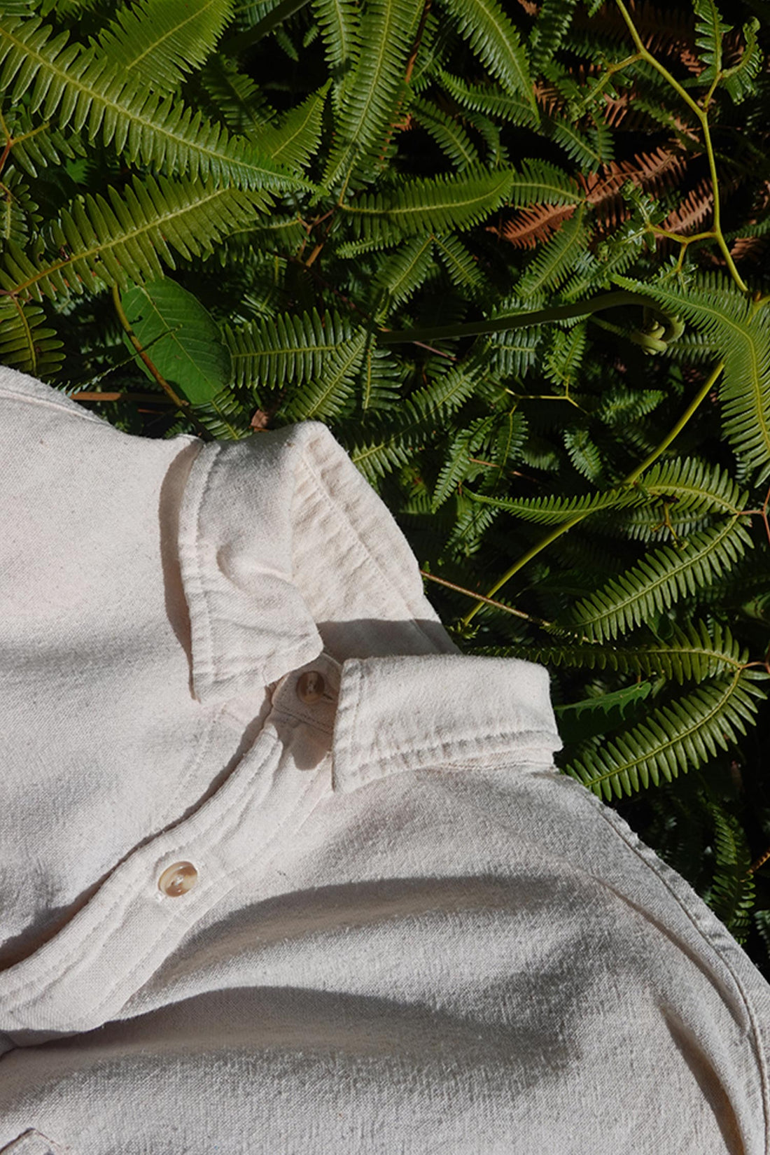 Close up of light beige button up shirt collar, against background of ferns.