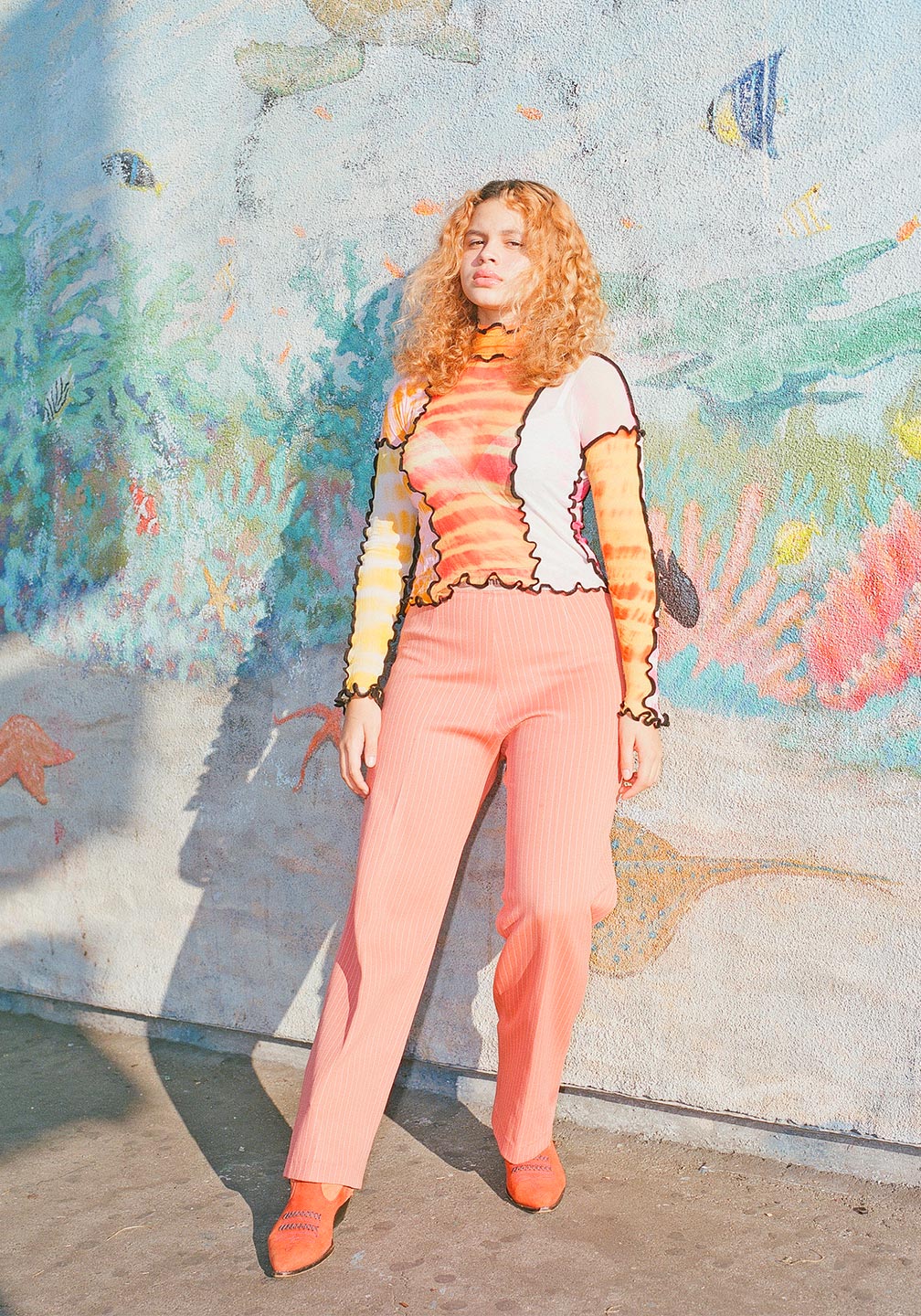 Paloma