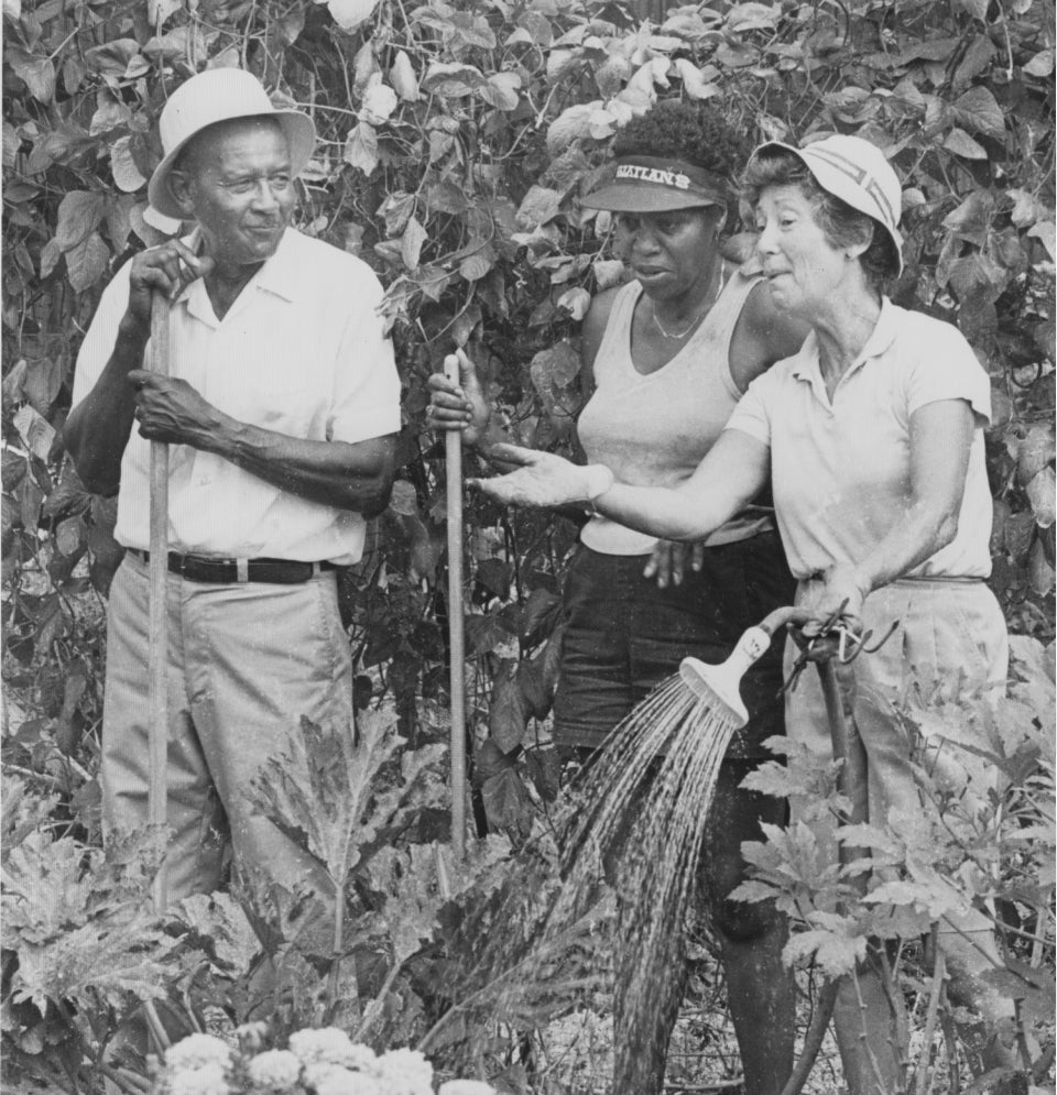 Archival image of three people working together in a garden, with one person holding a hose.