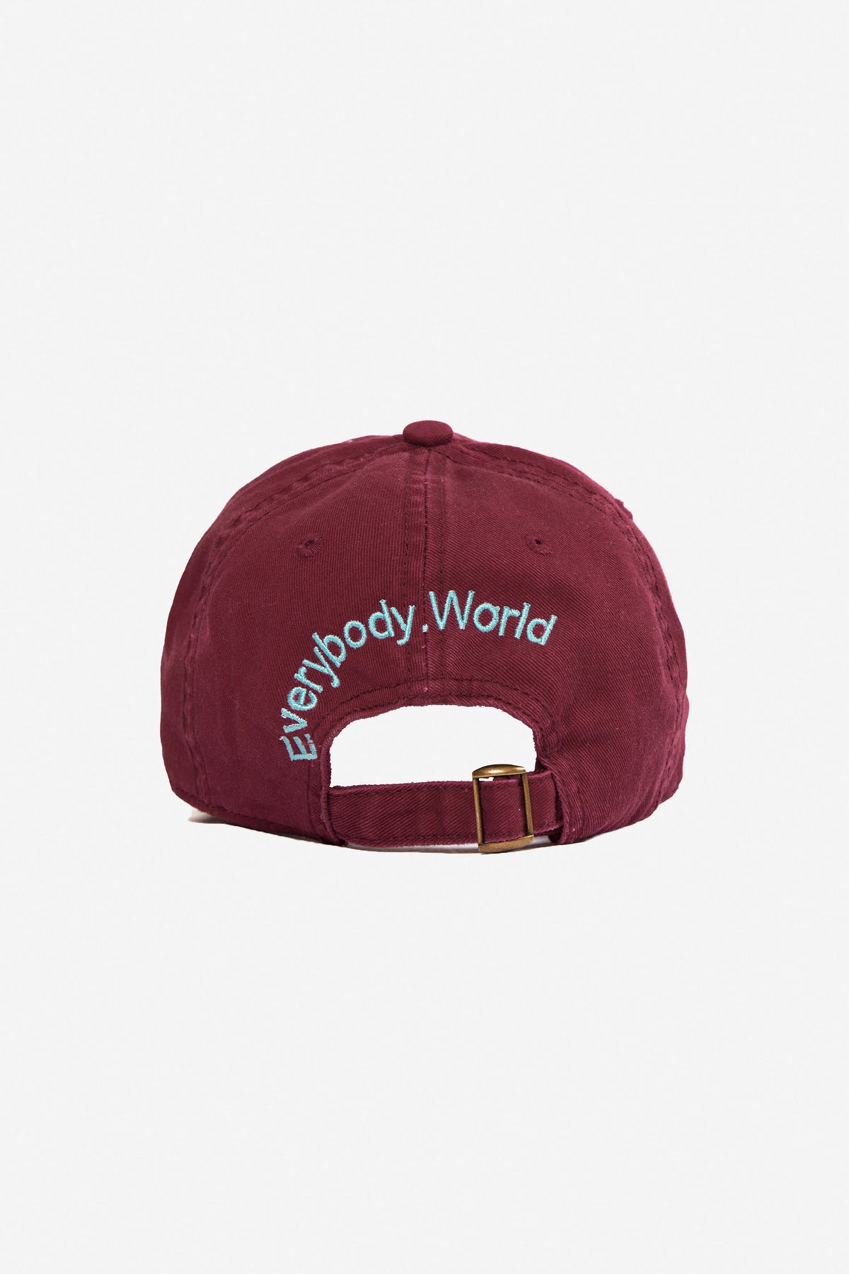 Bucky Logo Cap in Garnet - back still, no model