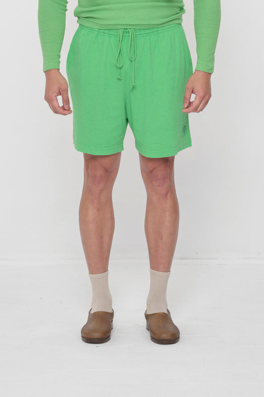 5'11" man wearing size XL Nice Grass Everyday Shorts. Leg hem hits just above his knee. 