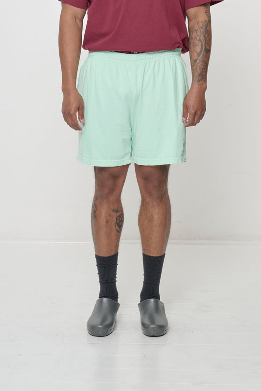Light mint green Sea Glass Everyday Shorts on model, front. Relaxed fit, mid-thigh, elastic waist, small logo patch on left thigh.