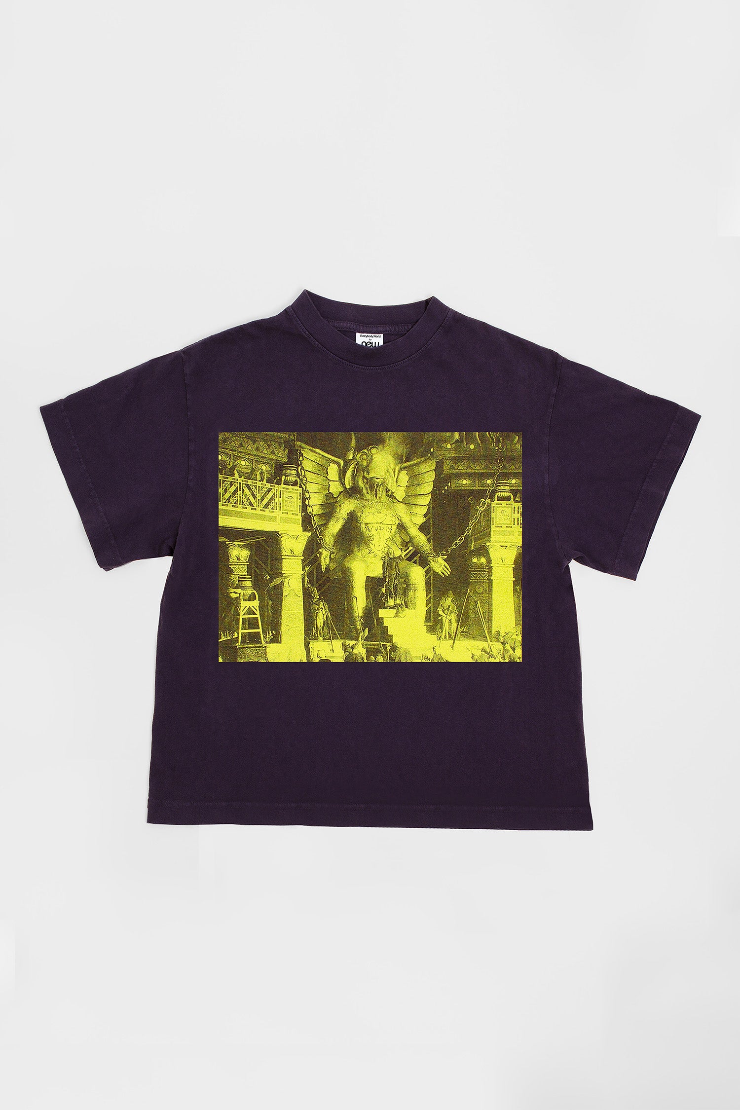 Flat lay showing the graphic and square-like boxy cut of the t-shirt.