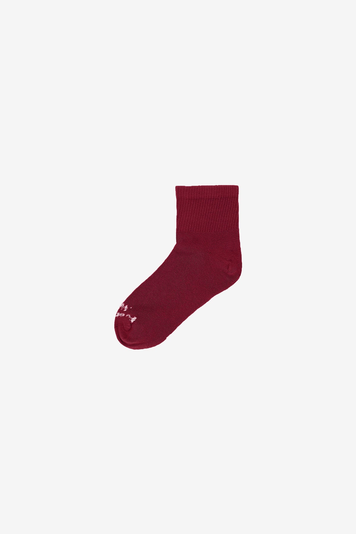 Flat lay of Garnet Spring Socks with Everybody.World branding in white.