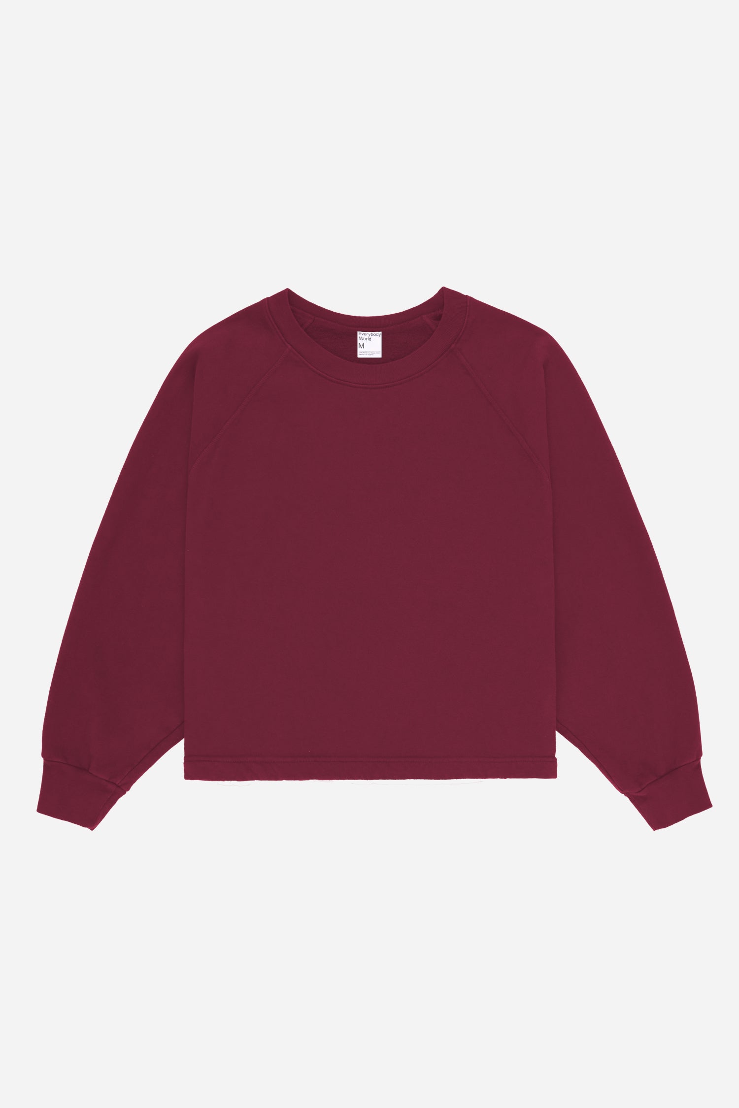 Trash Raglan - Everybody.World