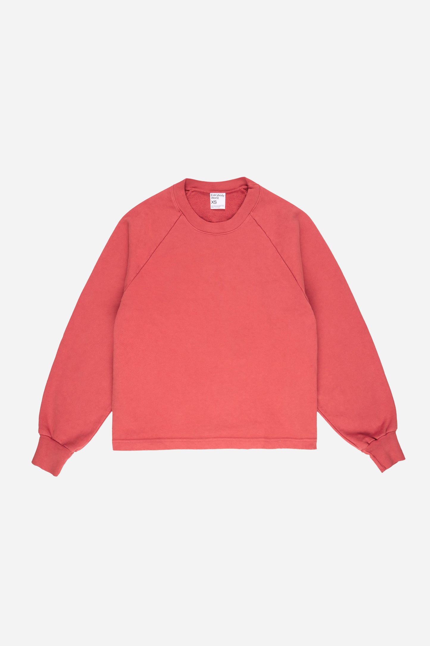 Trash Raglan