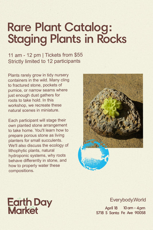 Flyer for a Rare Plant Catalog event titled 'Staging Plants in Rocks' at Everybody.World's Earth Day Market